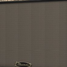Behringer Ultracoustic ACX900