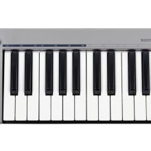 Acorn Instruments Ma...