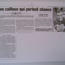 IDEE CADEAU !   pour les jeunes collectionneurs de pierres