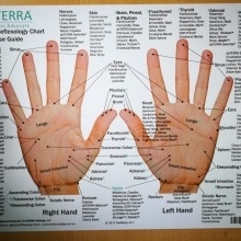 Tableau de réflexologie des pieds et des mains (anglais ...
